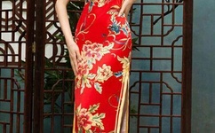 迷你裙美女警官